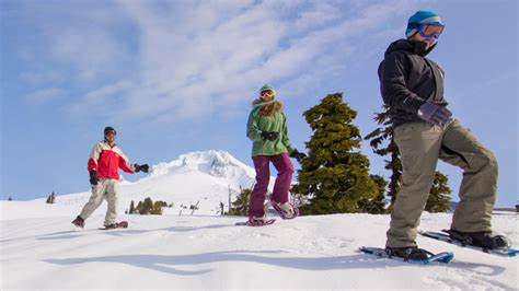 Take A Guided Snow Tour This Winter Travel Oregon