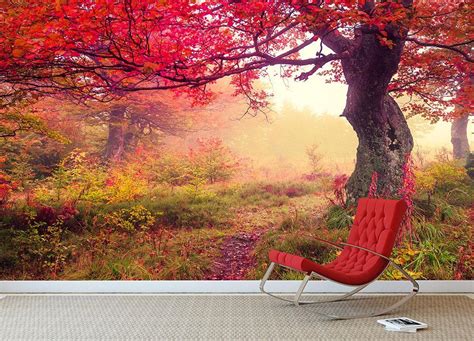 Autumn Trees In Forest Wall Mural Wallpaper Canvas Art Rocks