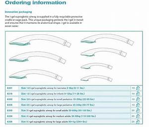 Igel Airway Size Chart