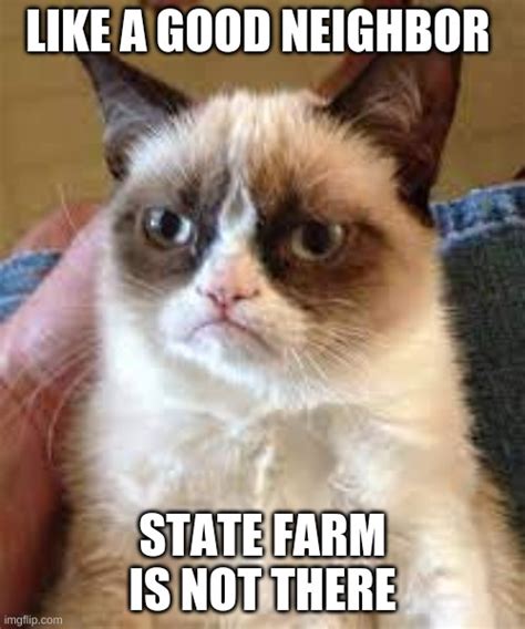 Grumpy Cat State Farm Imgflip