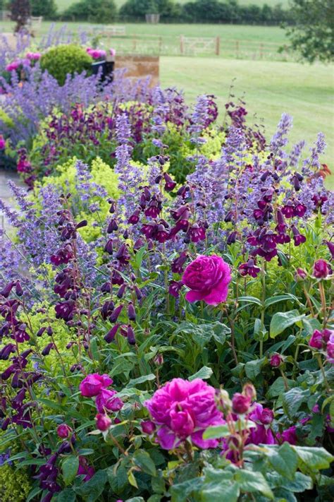 25 Rose Garden Design Ideas Garden Diy