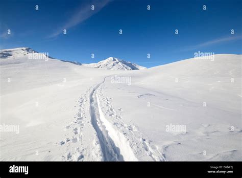 Back Country Ski Tracks In Scenic Winter Landscape With Candid Slope