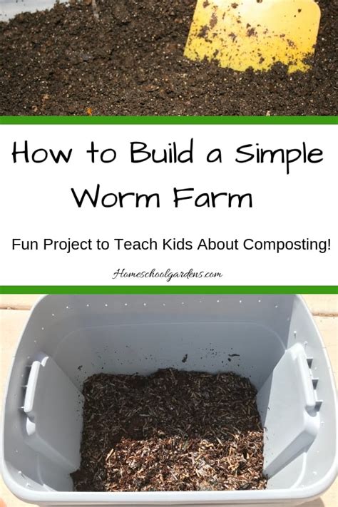 How To Build A Worm Farm In 2020 Worm Farm Earthworm Farm Worm Farm Diy