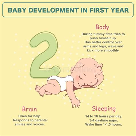 Little Newborn Baby Of 2 Months Development Infographics Stock Vector