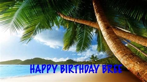 Bree Beaches Playas Happy Birthday YouTube