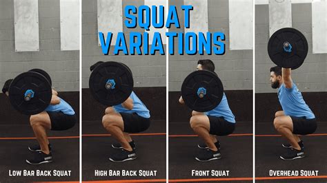 back vs front squats understanding the differences performance plus programming