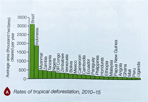 Living World 8 Impacts Of Deforestation In The Amazon Clf Online
