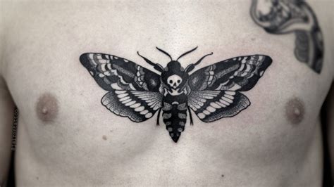17 Awesome Skull Moth Tattoo Meaning Ideas