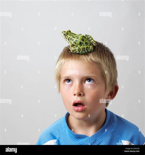 Boy With The Frog On Top Of His Head Stock Photo Alamy