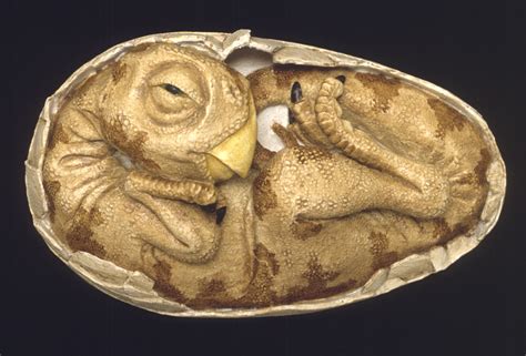 See Fossilized Dinosaur Eggs Babies
