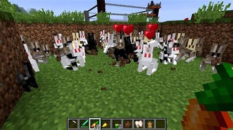 Where Do Rabbits Spawn In Minecraft
