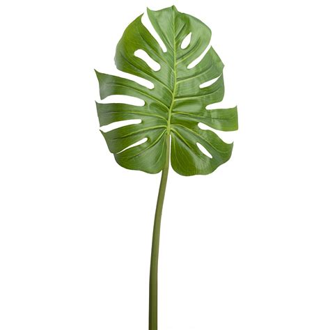 Outdoor Faux Monstera Leaf Stem Green | Monstera leaf, Monstera, Plant leaves