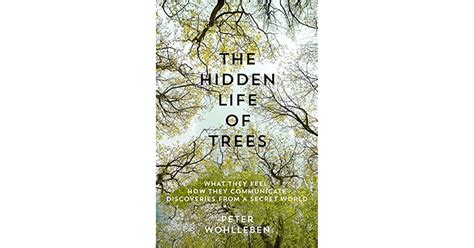 The Hidden Life Of Trees What They Feel How They Communicate By Peter