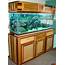 Aquarium Stand With Canopy & 125 Gallon And 1000 