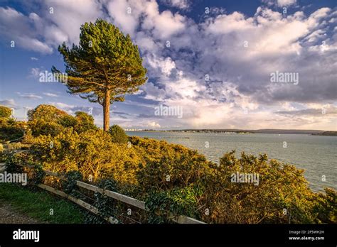 Evening Hill Poole Hi Res Stock Photography And Images Alamy