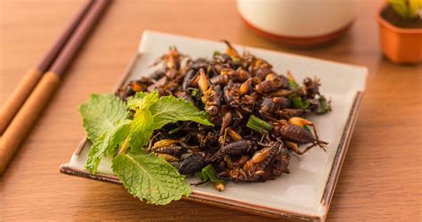 Download the official cricket world cup app. New Report Suggest Eating Crickets Could Be Great For Your ...