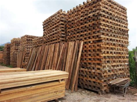 Madera Para Cimbra Madera Para Construcción Polin Tablas 6800