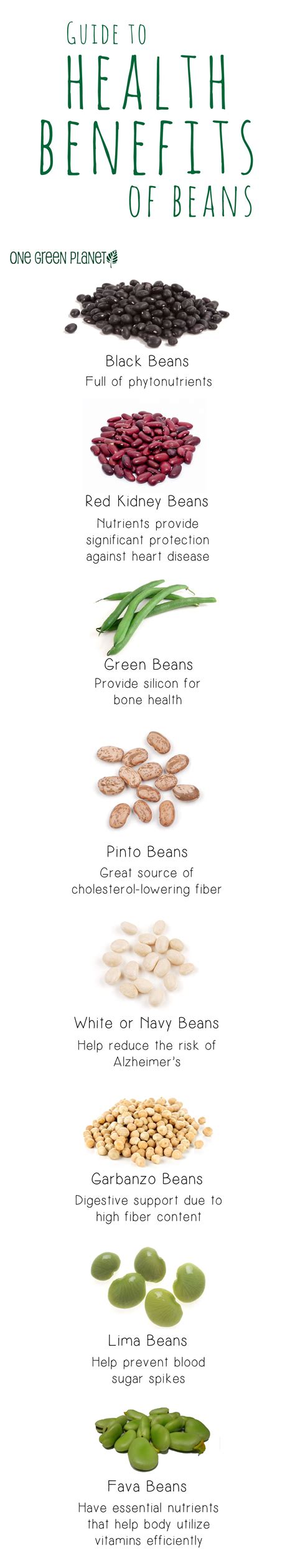 ultimate guide on the health benefits of beans and which bean is best for your recipe health
