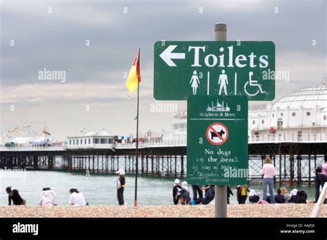 Toilets And No Dogs Sign With Brighton Pier Behind England Stock Photo