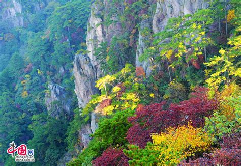 Mount Huangshan Best Place To Explore Autumn Cn