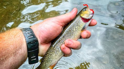 The line needs to be strong enough to support the type of fish being targeted. How to Rig a Trout Line: Beginners Guide - Finn's Fishing Tips