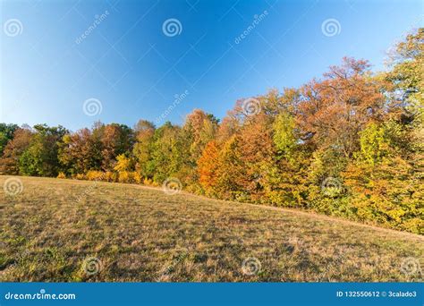 Colorful Autumn Landscape With Trees And Meadow Stock Photo Image Of