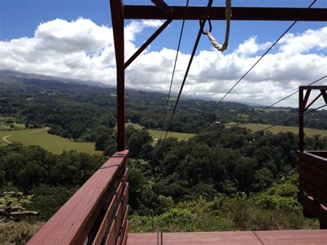 Piiholo Ranch Zipline In Makawao HI Doing This Was A Blast Makawao