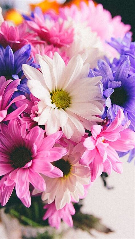 Wallpaper iPhone | Beautiful flowers, Flower wallpaper, Flower phone