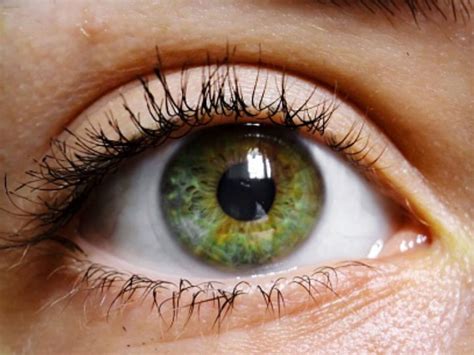Curiosidades De Personas Con Ojos Verdes ¡no Todo Es Miel Sobre