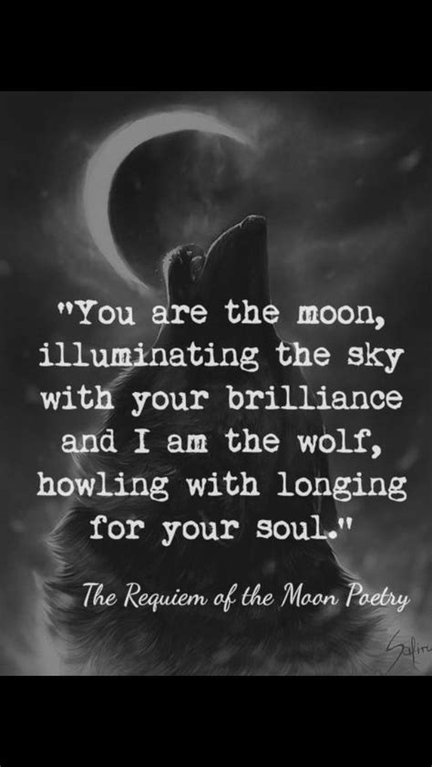 Quotes About Howl At The Moon 20 Quotes