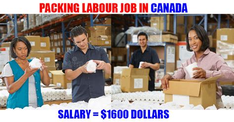 Packing Labour Wanted In Canada Gulf Job Mag