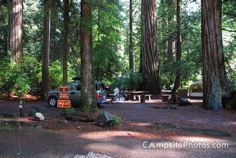 Jedediah Smith Redwoods State Park Campsite Photos And Availability