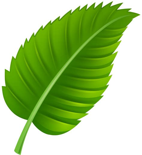 Daun vector иконки ( 402 ). 200 Gambar Daun Png - Gambar ID