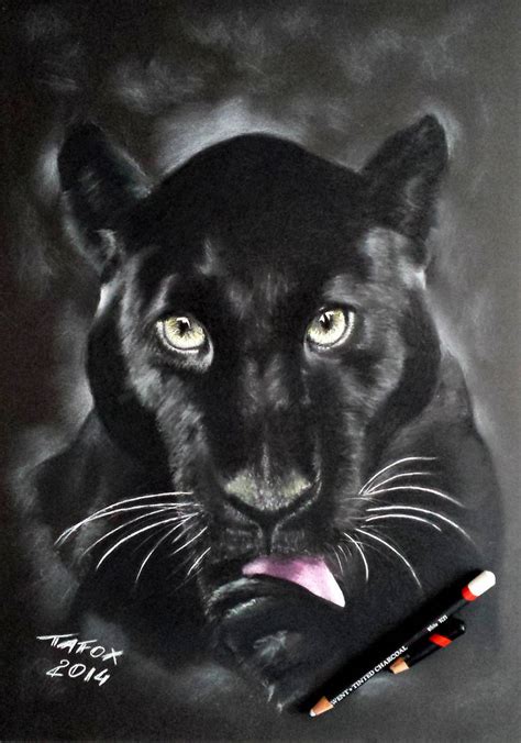 Panther Pencil Drawing At Explore Collection Of