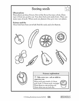 2nd grade science Worksheets, word lists and activities ...