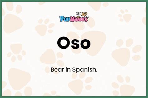 Oso 🐶 Dog Name Meaning And Popularity