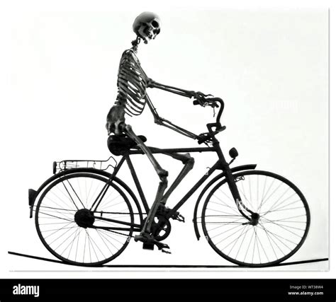 Skeleton Riding Bicycle Hi Res Stock Photography And Images Alamy
