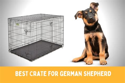 8 Best Dog Crates For German Shepherds In 2023 And Playpens World