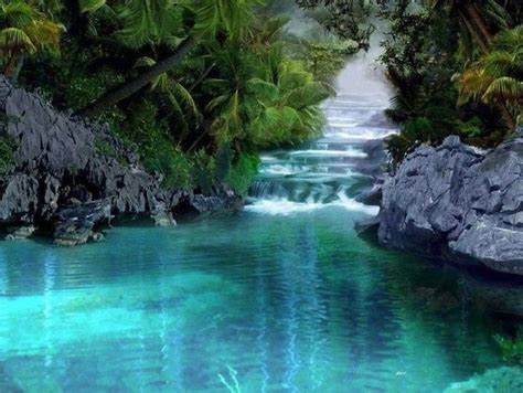 Clear Water Waterfall Forest Waterfall Beautiful Places