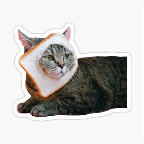 Bread Cat Sticker For Sale By Sphinxaffix Redbubble