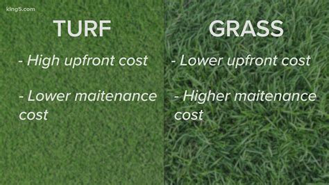 Verify Is Natural Grass Or Artificial Turf Better For Your Backyard