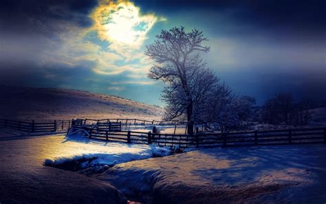 Nature Landscape Moonlight Winter Snow Mist Fence Evening Trees