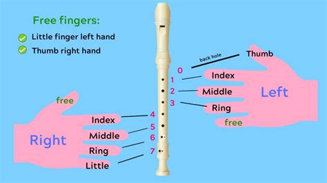 How To Learn A Recorder Infolearners
