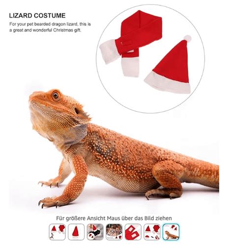 🎄🦎 This Bearded Dragon Christmas Costume Is My Pick Of The Day 👍 R