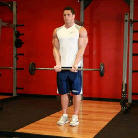 Close Grip Barbell Curl By Brandon Mathews Exercise How To Skimble