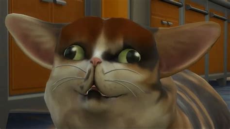 Spleens Is My Favorite Cat Cats Cat Names Sims 4