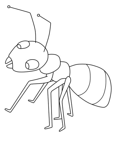 Dibujos de Hormiga Fácil para Colorear para Colorear Pintar e Imprimir