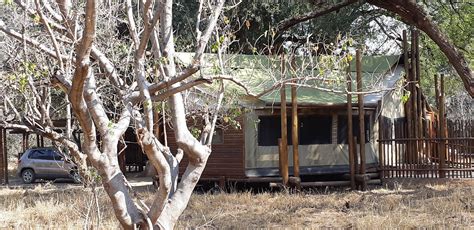 Mapungubwe Limpopo Forest Tented Camp Musina Afrique Du Sud Tarifs