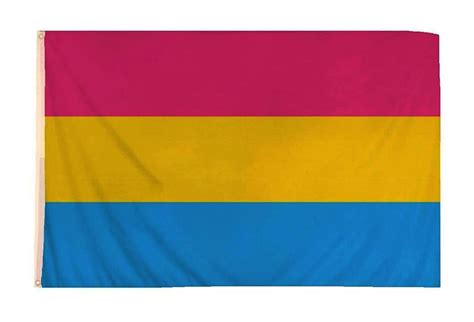 Large Pansexual Pride Flag
