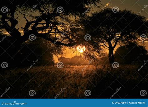 Sunset Wonder African Nature And Beauty Background Stock Image